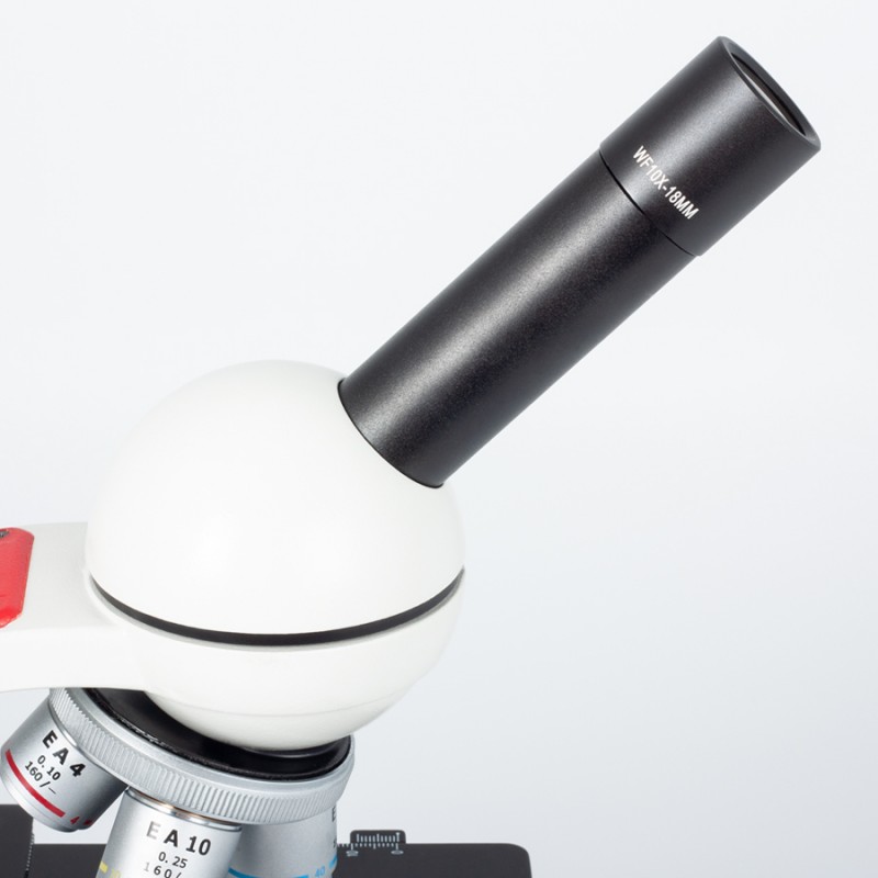 Microscope Motic 2802 Led